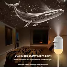 Sky Light Projector